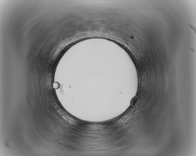 X0000097831499200804111026