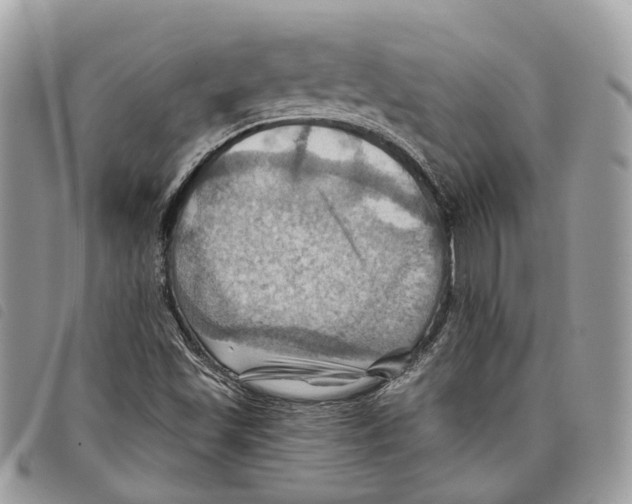 X0000097831501200804111026