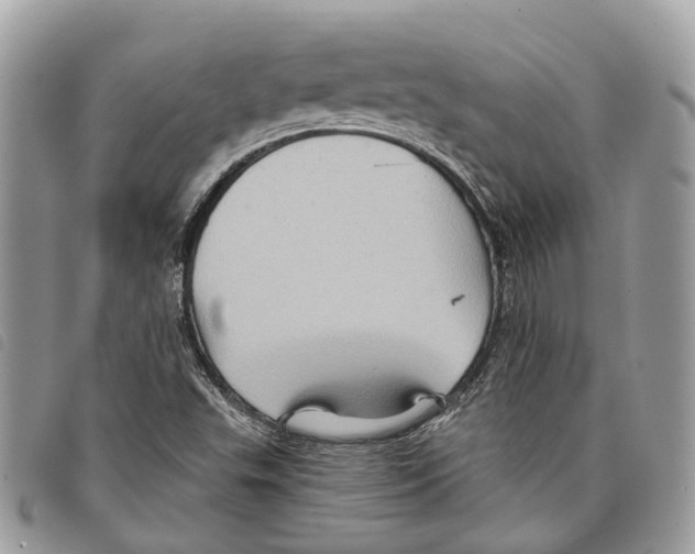 X0000097831503200804111026