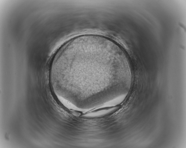 X0000097831504200804111026