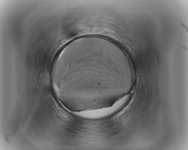 X0000097831505200804111026