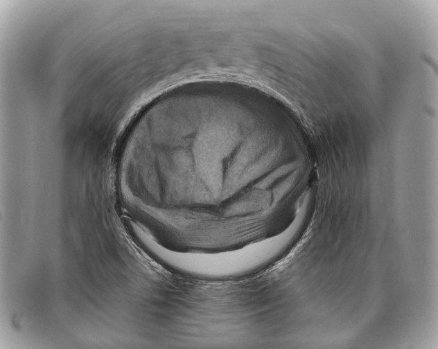 X0000097831506200804111026