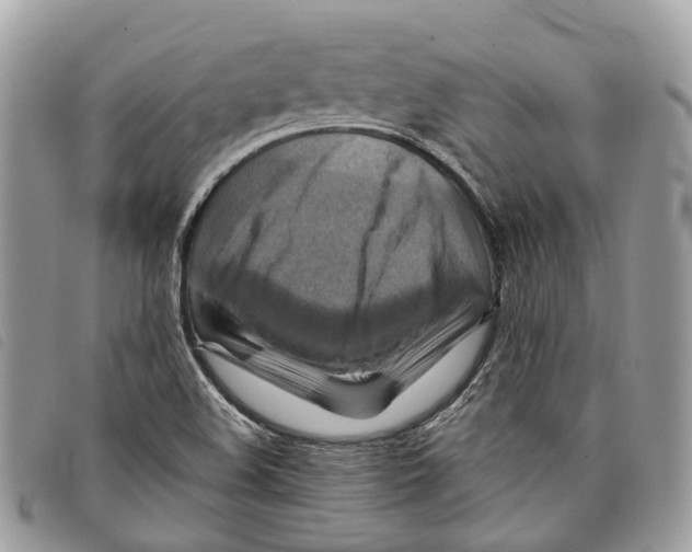 X0000097831508200804111026