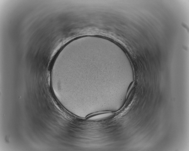 X0000097831509200804111026