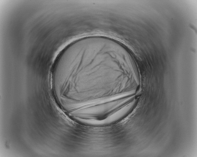 X0000097831510200804111026