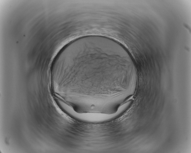 X0000097831515200804111026