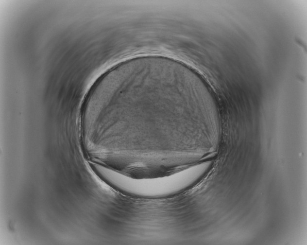 X0000097831519200804111026