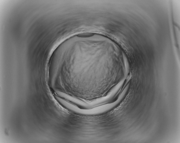 X0000097831520200804111026