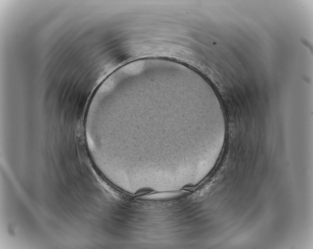 X0000097831521200804111026