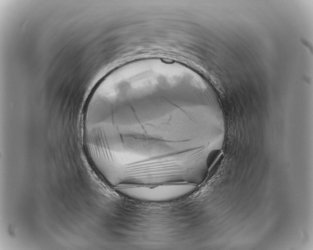 X0000097831522200804111026