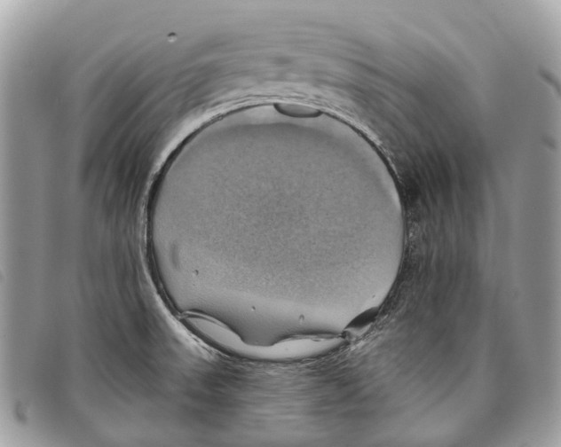 X0000097831523200804111027