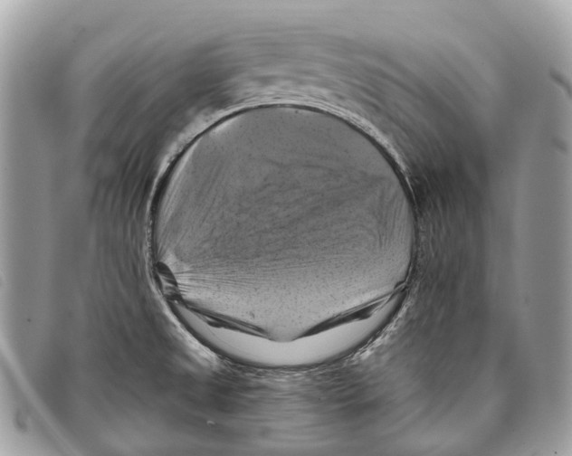 X0000097831525200804111027