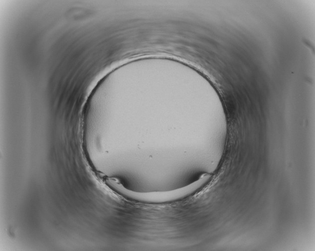 X0000097831526200804111027