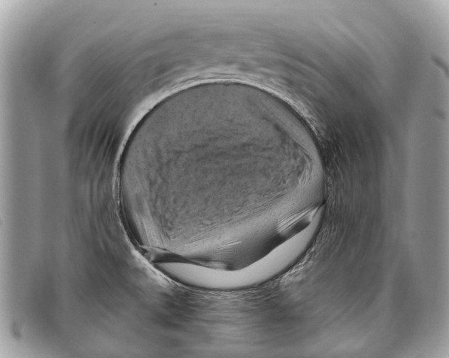 X0000097831527200804111027