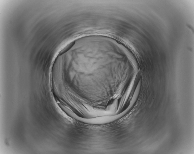 X0000097831528200804111027