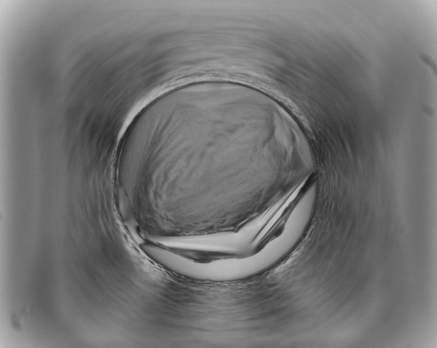 X0000097831530200804111027