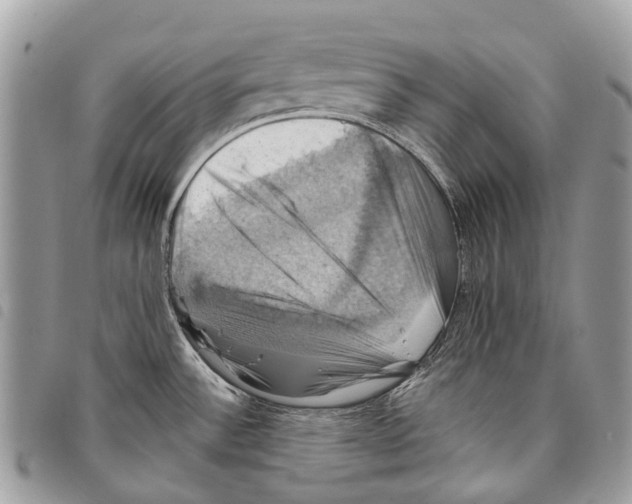 X0000097831532200804111027