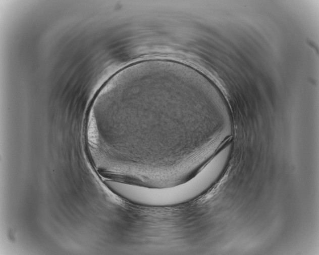 X0000097831533200804111027