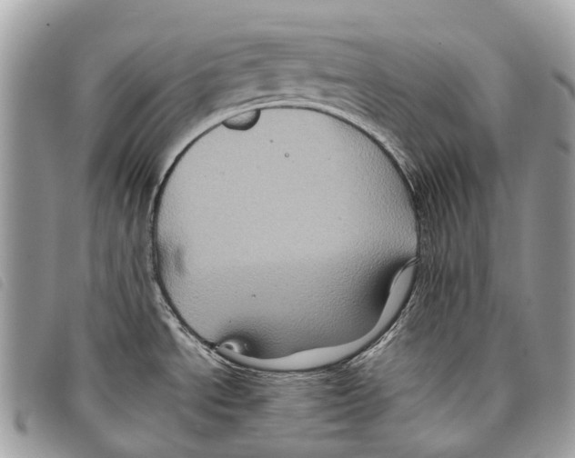 X0000097831534200804111027