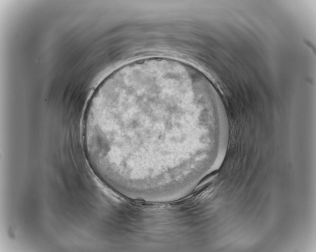 X0000097831535200804111027