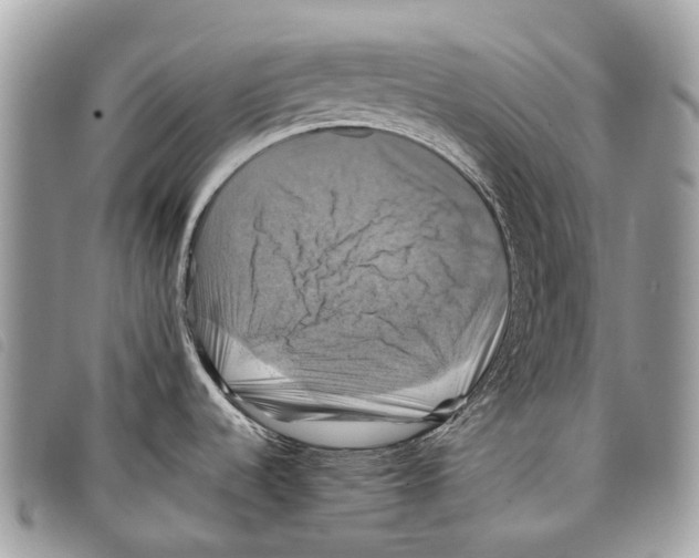 X0000097831536200804111027