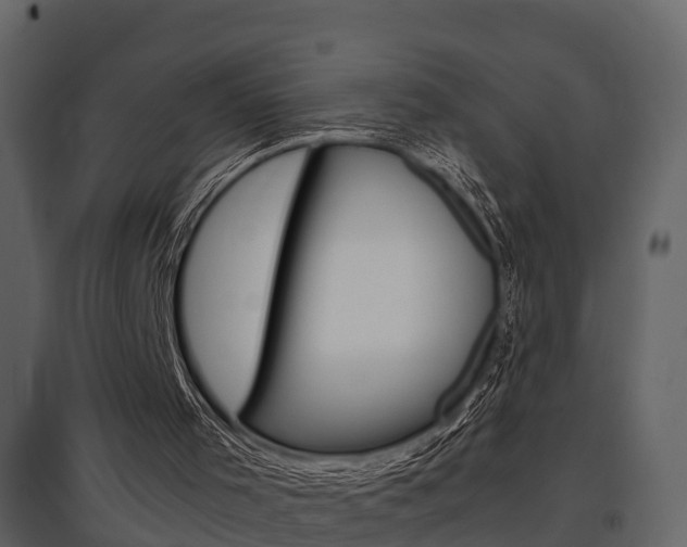 X0000097840001200803140845