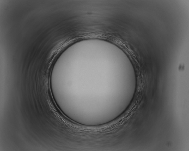 X0000097840002200803140845