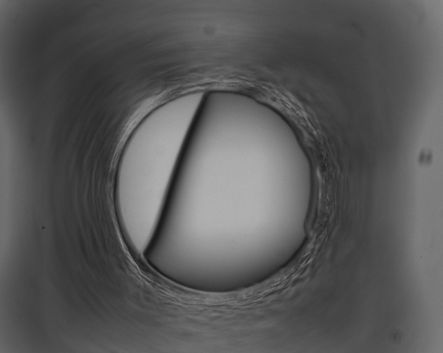 X0000097840003200803140845