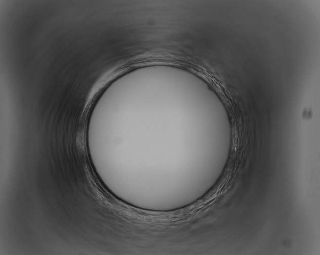 X0000097840004200803140845