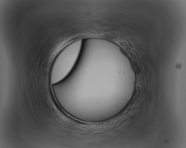 X0000097840005200803140845