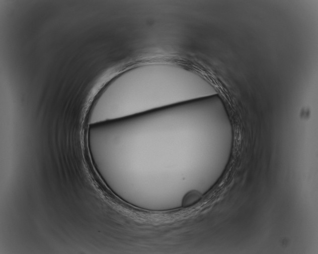 X0000097840006200803140845