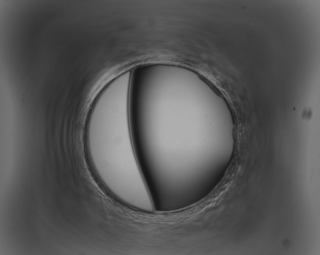 X0000097840007200803140845