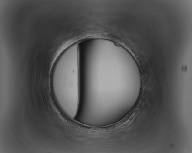X0000097840008200803140844