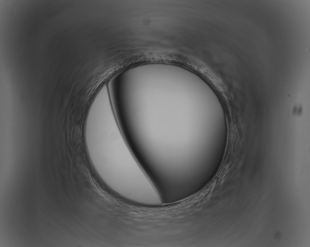 X0000097840009200803140844