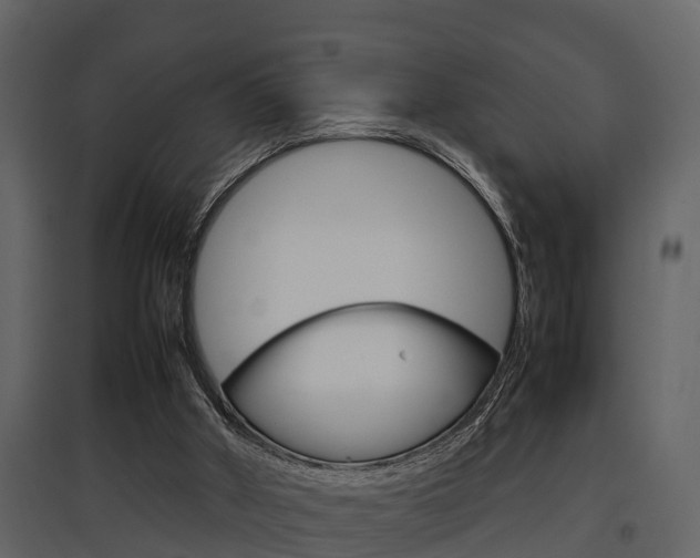 X0000097840010200803140844