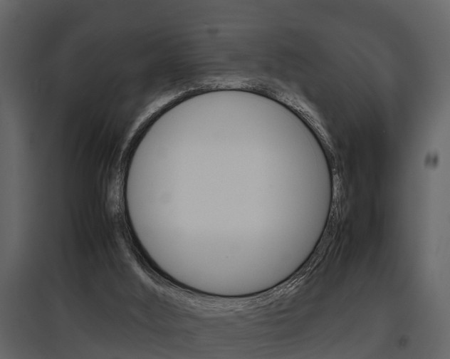 X0000097840012200803140844