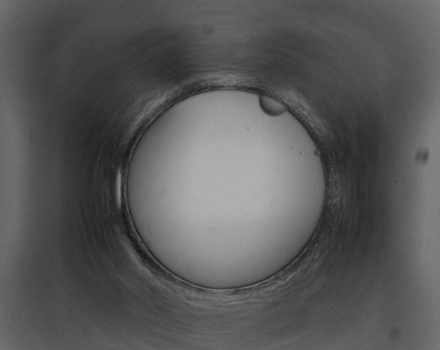 X0000097840014200803140844