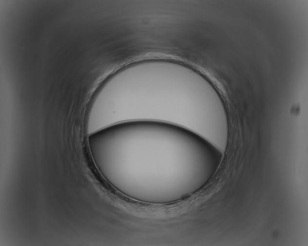 X0000097840015200803140844
