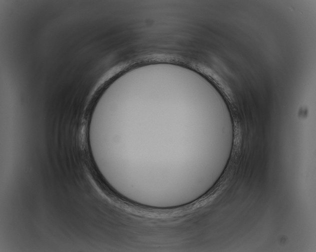 X0000097840016200803140844