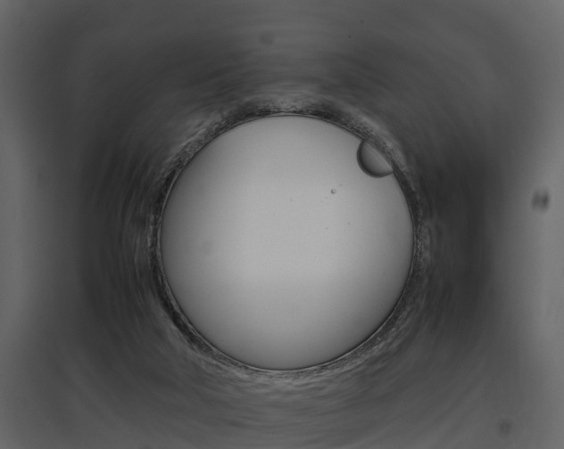 X0000097840018200803140844