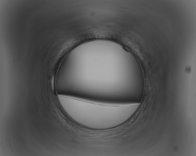 X0000097840019200803140844