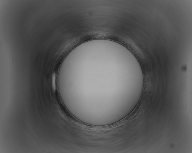 X0000097840022200803140844