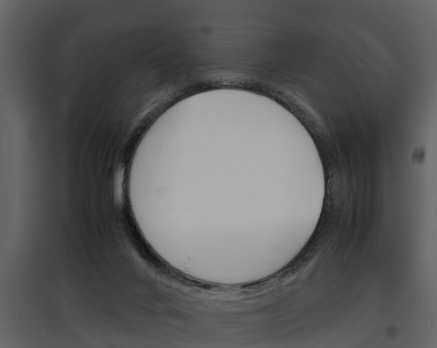 X0000097840024200803140844