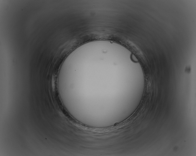 X0000097840026200803140844