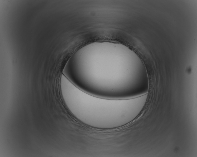 X0000097840029200803140844