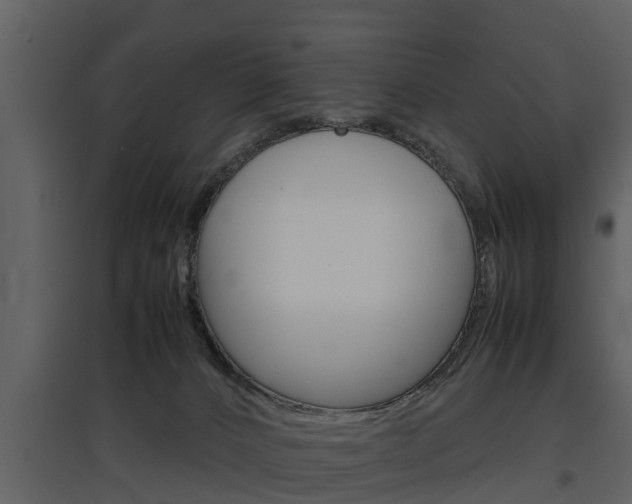 X0000097840032200803140844