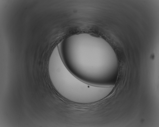 X0000097840033200803140844