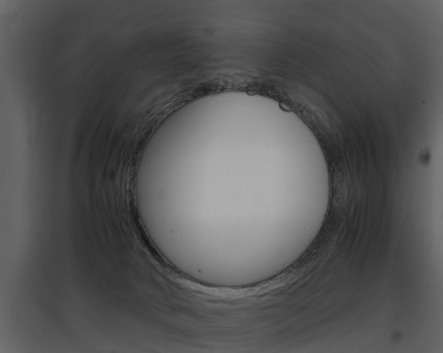 X0000097840034200803140844