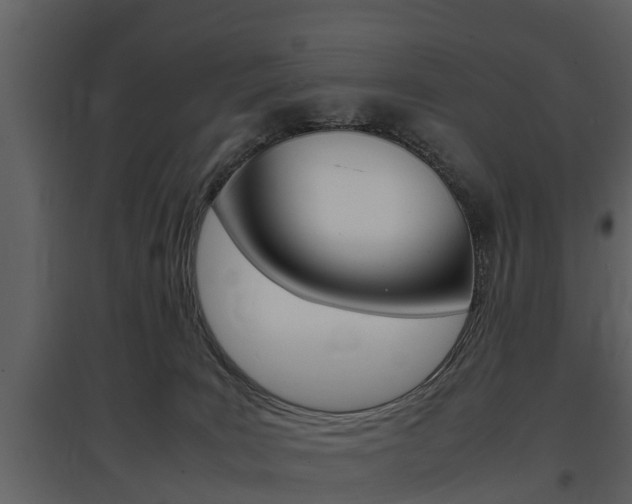 X0000097840035200803140844