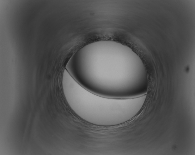X0000097840037200803140844
